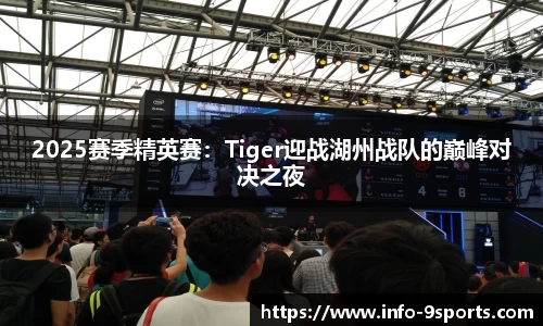 2025赛季精英赛：Tiger迎战湖州战队的巅峰对决之夜